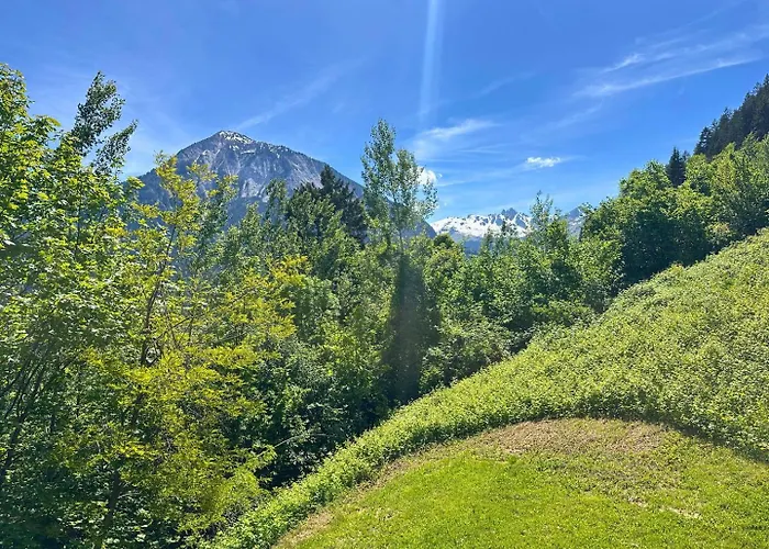 Tatil Evi Bijolin 4/6 Personnes, & Terrasse La Plagne